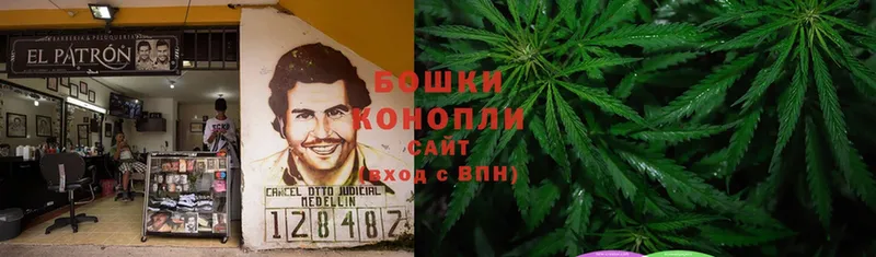 Каннабис Bruce Banner  магазин продажи   Баймак 